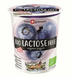 Molkerei Biedermann Jogurt Heidelbeere, 200 G Bech