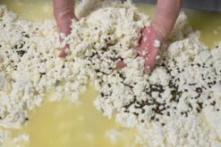 St. Leonhardter Biokäserei Camembert Mit Pfeffer, Ca. 180 Gr , Mind. 48% -Taifun Verkaufsgeschäft Abfullem Pfeffer 1