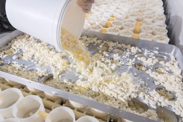 St. Leonhardter Biokäserei Camembert, Ca. 180 Gr , Mind. 48% 7 St. Leonhardter Biokäserei Camembert, Ca. 180 Gr , Mind. 48% – Bild 5