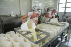 St. Leonhardter Biokäserei Camembert Mit Pfeffer, Ca. 180 Gr , Mind. 48% -Taifun Verkaufsgeschäft Abfullen Nusssbrie 1